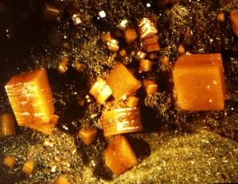 ��Ǧ��(Wulfenite)