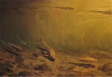 ���������ʾ��ͼ