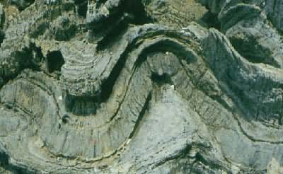 ���������еĵȺ����弰�����μ������