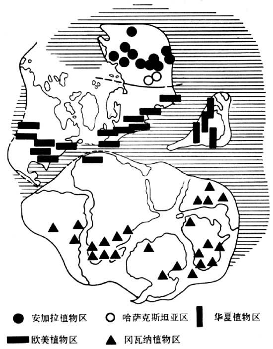 ����ʯ̿��-���������ֲ���������ͼ(��Meyen,S.V.,1987)