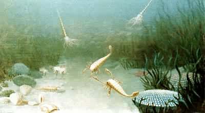 ʯ̿��ֲ��Ⱥʾ��ͼ