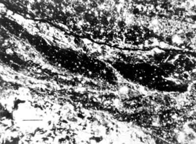 ���ɹŰ��ﺱ����ɽ����������Ѵ��ڵ�ϸ��������