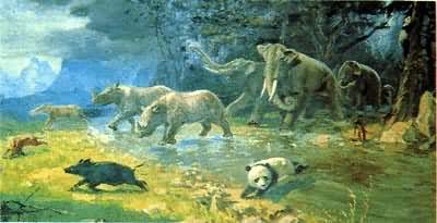 ���ļͶ���Ⱥʾ��ͼ