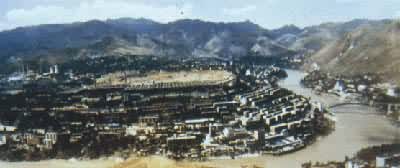 �Ĵ���֦�����Ѵ�����Զ��