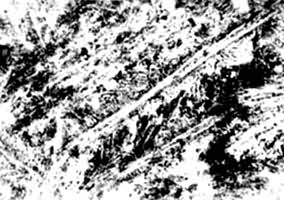 ϸ�������Ƴ�ʯ����β״�����ṹ