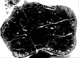 ϸ���ҵ���״����