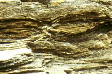 ����ʯƬ���е��㳦����