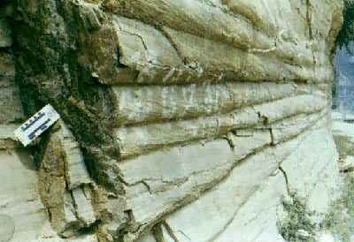 �����Ҵ�������