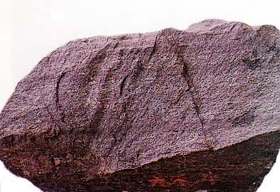 ���Ѵ�����