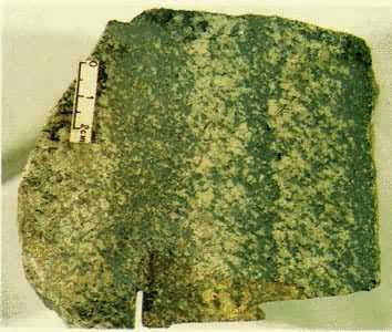 �Գ�������