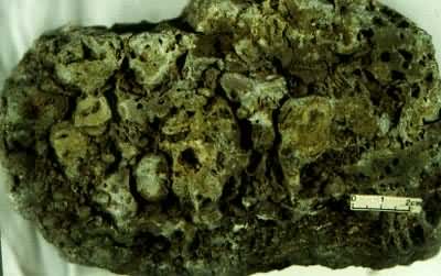 ʯ��������