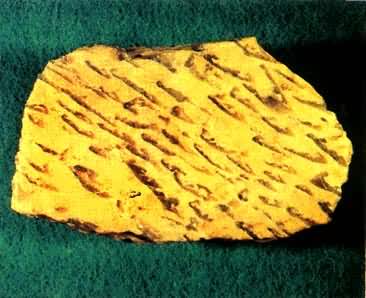 ����ΰ����