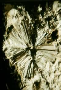 Ҷ��ʯ(Pyrophyllite)