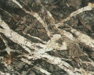 ��������Ư��ʯӢ�����ٿ�