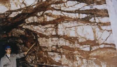 ���ϸ�����������״����