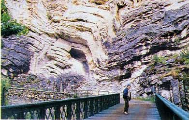 ٪��ϵ�����е�٪��ɽʽ����