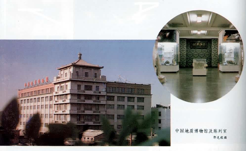 �й����ʲ���ݼ�������