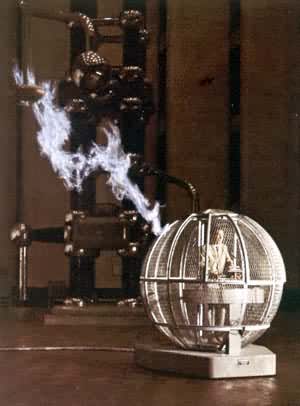 ����������800ǧ���𻨷ŵ������ʵ��