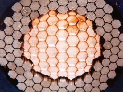 ��Ƶ���������ߣ��м��ɫΪͭ�ߣ���Χ����ɫΪ������ά��