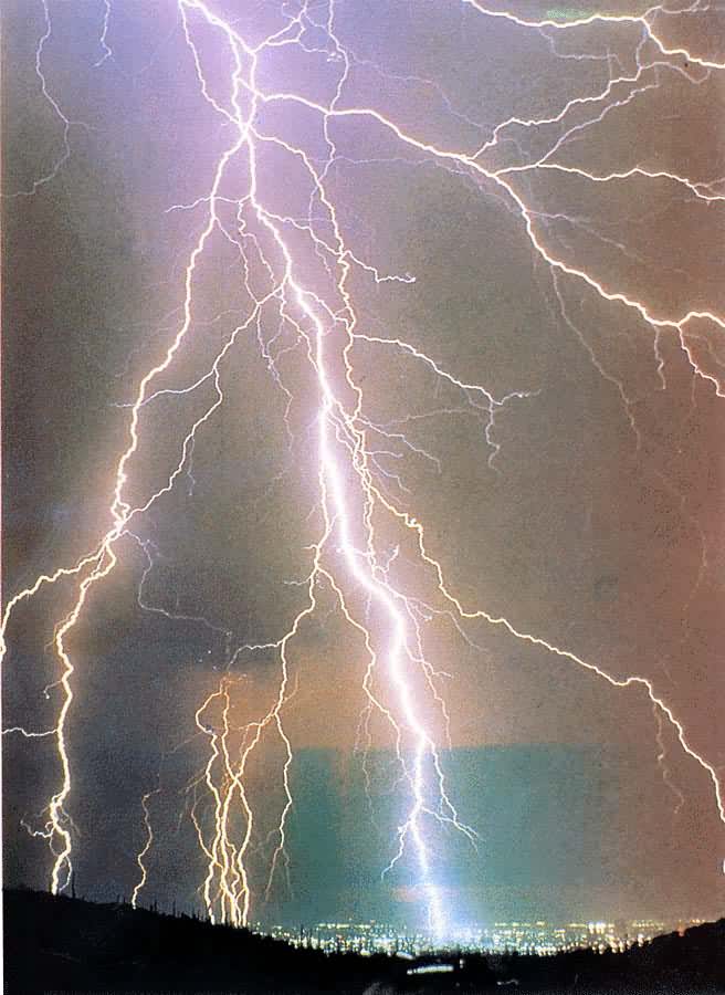 �׵�����������ע�⵽�ĵ�����