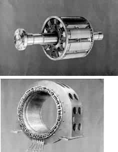 ͼ1 ͬ������Ķ��Ӻ�ת�� �� ���ӣ����ࣩ �� ת�ӣ��ż���