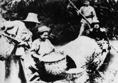 �����ϡ�����