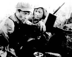 ����ɫ���Ӿ�������