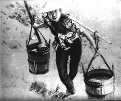 ���㵺������