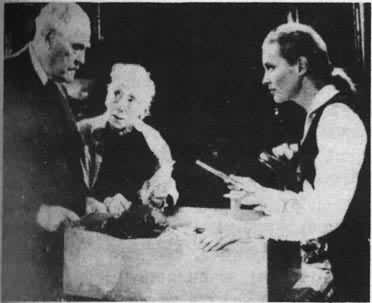 ��Ұ��ݮ������