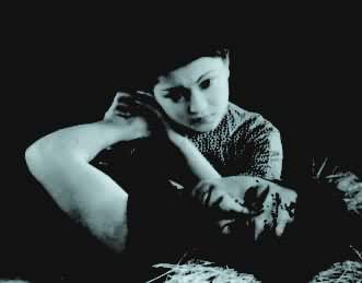 ���й�����ŭ����