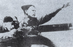 ���Ĳ���������