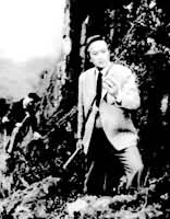 �����Ĺ⡷����