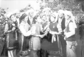 �����𻨡�����