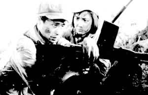 ����ɫ���Ӿ�������