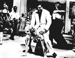 �����۵��������