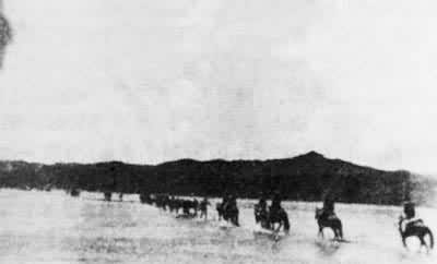 ���Ӱ����·��������