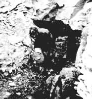 ����ս��ʱ�����ձ��۹������߲��ذ����£�ɽ����ͬú���˵Ķ����Ͷ�����