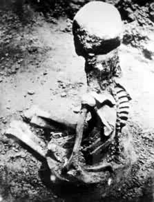 ���������Ϊ����������ū���ź�