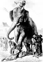 ��ӡ���ô���ִ�����̵ķ�ʽ֮һ