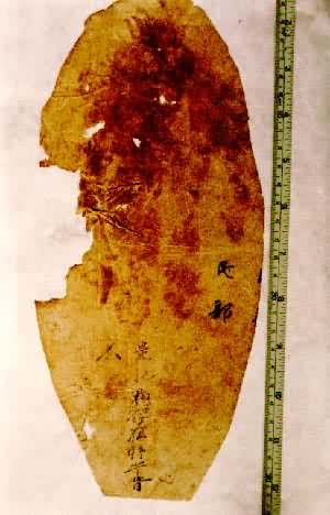 �������顡����ȫ��ӡ��1964���½�ά�����������³����˹�����ƴ��������Ĺ����