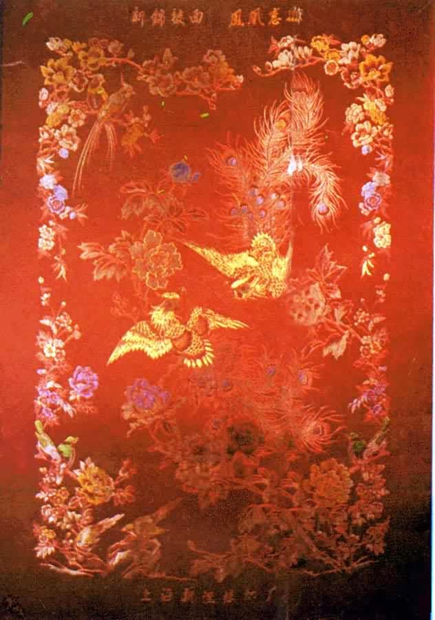 ˿֯���棺�������