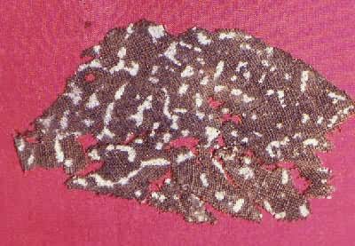 ս��ӡ����������ʡ��Ϫ��Ĺ����������ʡ����ݲأ�