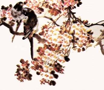 ���壺���ĺ���