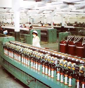 ����ļ�����ë�ĵĳ�ɴ���̣������ڴ�ɴ����ǣ������Ƴɴ�ɴ