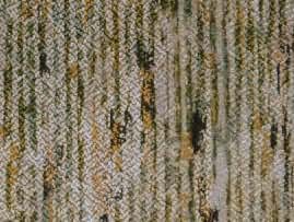 ��˿������