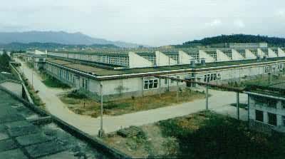 ��֯����������