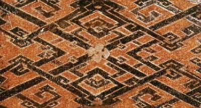 �����⻨��ë��