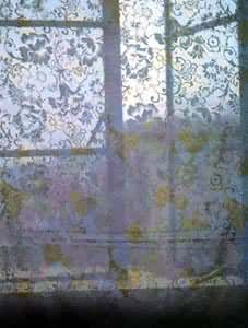 �����û�����