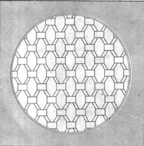 ��������ο���״֯��