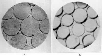 ��ά����ͼ